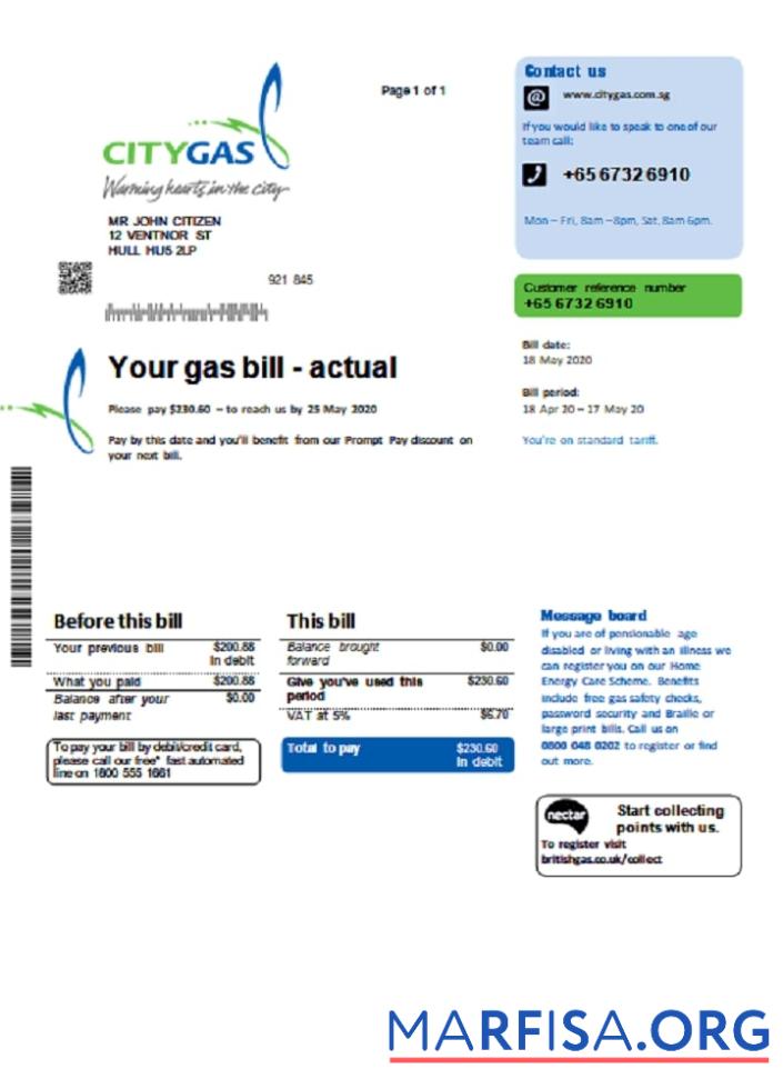 Printable Singapore City Gas utility bill template in Word and PDF format